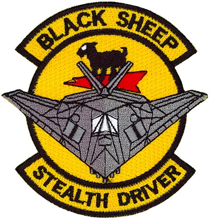 8TH FS FIGHTER SQUADRON PATCH F-117 STEALTH US AIR FORCE Holloman AFB PIN UP F22