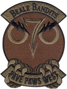 7th SPACE WARNING SQUADRON – PAVE PAWA WEST – OCP | Flightline Insignia