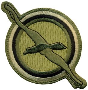 101st INTELLIGENCE SQUADRON – OCP | Flightline Insignia